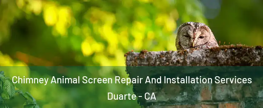  Chimney Animal Screen Repair And Installation Services Duarte - CA