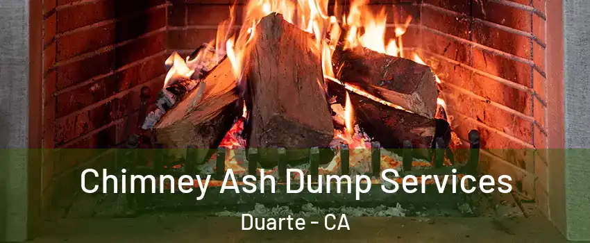  Chimney Ash Dump Services Duarte - CA