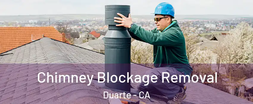  Chimney Blockage Removal Duarte - CA
