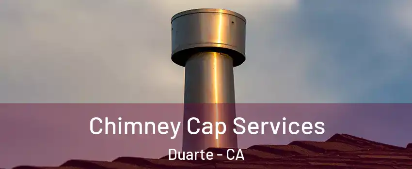  Chimney Cap Services Duarte - CA