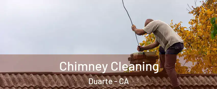  Chimney Cleaning Duarte - CA