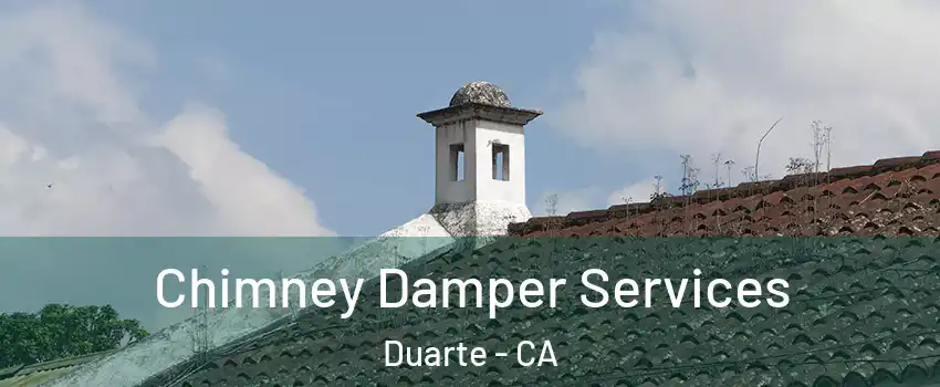  Chimney Damper Services Duarte - CA