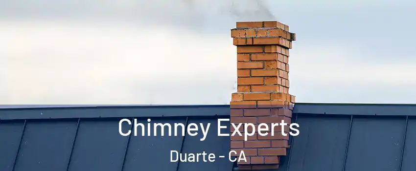  Chimney Experts Duarte - CA