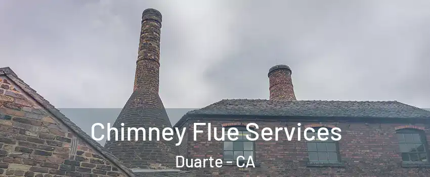  Chimney Flue Services Duarte - CA