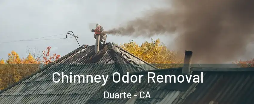  Chimney Odor Removal Duarte - CA