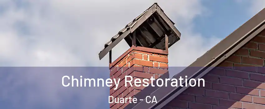  Chimney Restoration Duarte - CA