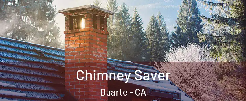  Chimney Saver Duarte - CA