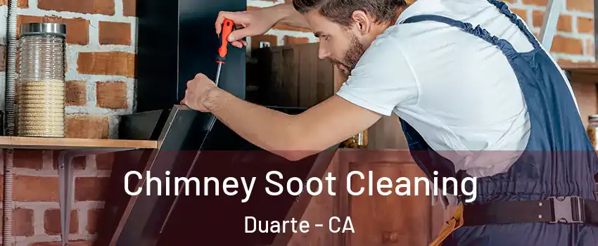  Chimney Soot Cleaning Duarte - CA