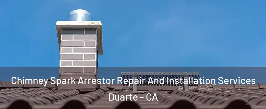  Chimney Spark Arrestor Repair And Installation Services Duarte - CA