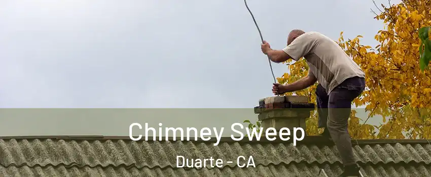  Chimney Sweep Duarte - CA