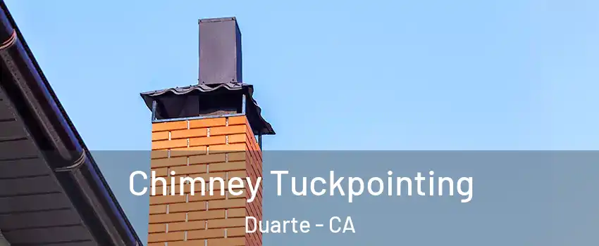  Chimney Tuckpointing Duarte - CA