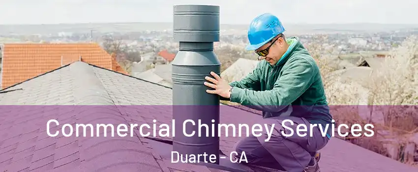  Commercial Chimney Services Duarte - CA
