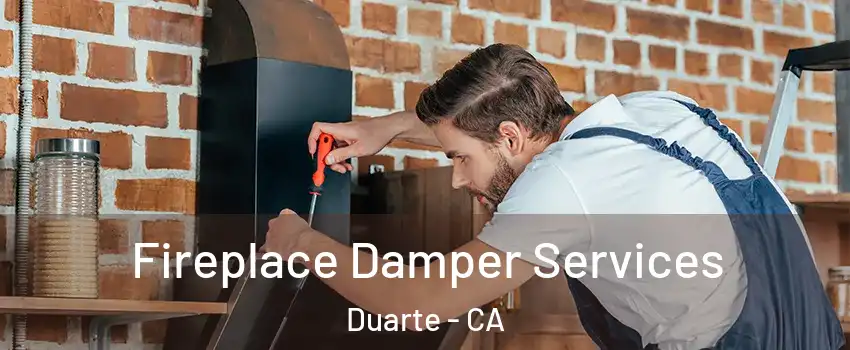  Fireplace Damper Services Duarte - CA
