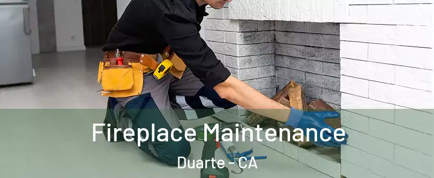  Fireplace Maintenance Duarte - CA