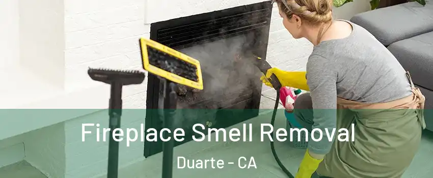  Fireplace Smell Removal Duarte - CA