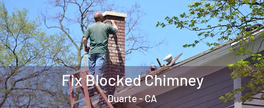  Fix Blocked Chimney Duarte - CA