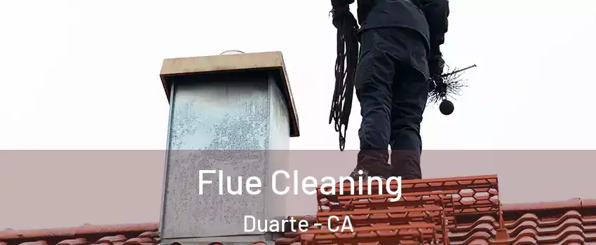 Flue Cleaning Duarte - CA