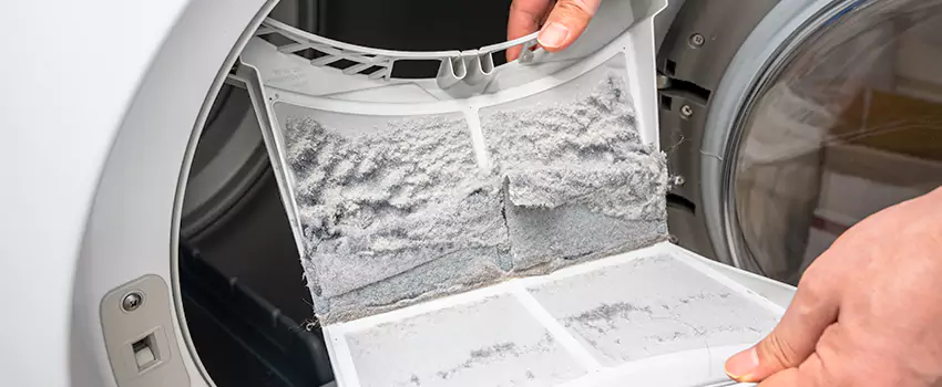 Best Dryer Lint Removal Company in Duarte, California