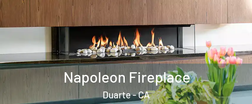  Napoleon Fireplace Duarte - CA